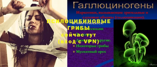 гашик Балахна