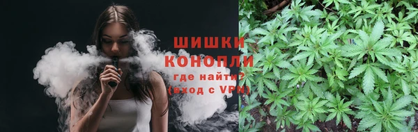гашик Балахна