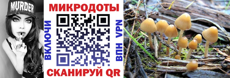 Псилоцибиновые грибы MAGIC MUSHROOMS  omg как войти  Чулым 
